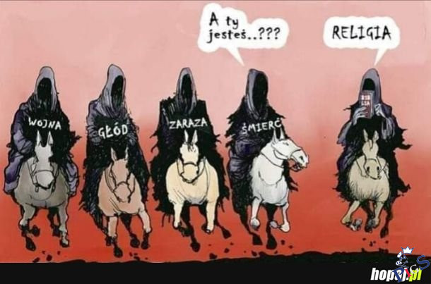 5 jeździec