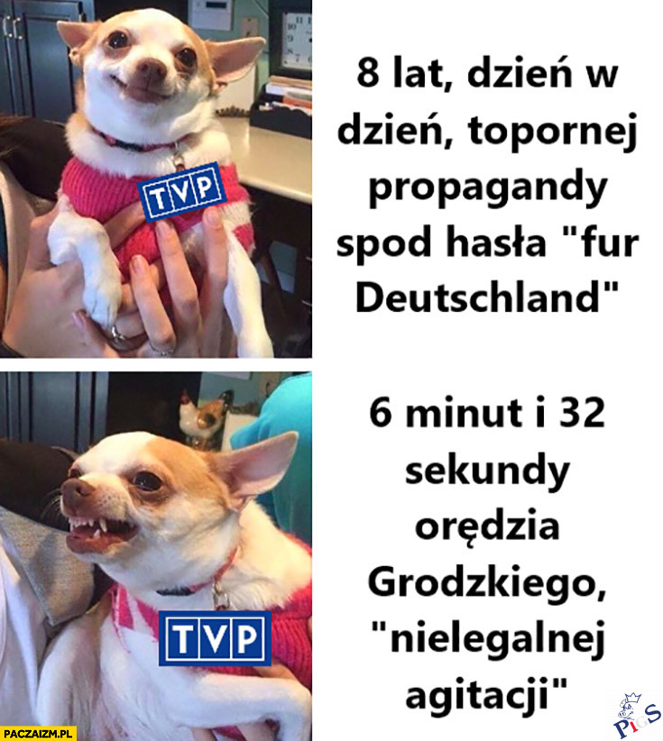 8 lat topornej propagandy