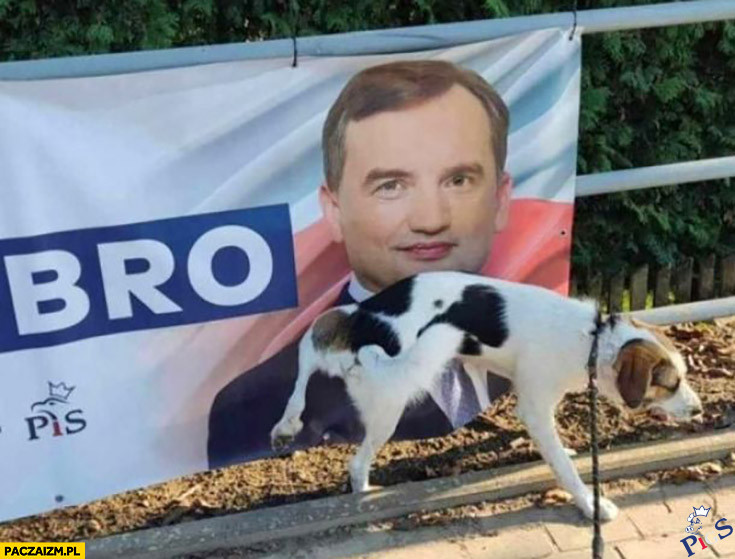 BRO