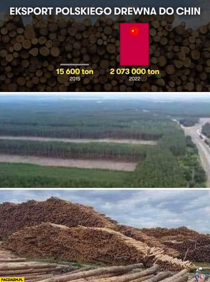 Eksport polskiego drewna