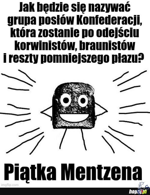 Grupa posłów Konfederacji