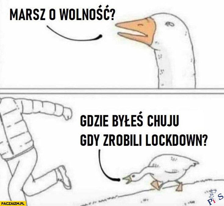 Marsz o wolność?