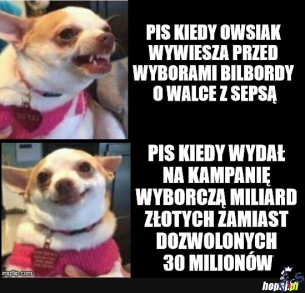 Pokonaliśmy tę zarazę!