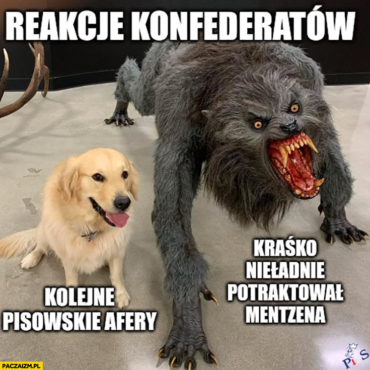 Reakcje konfederatów