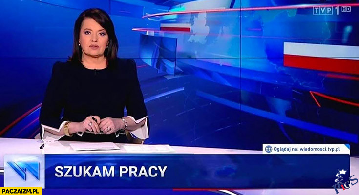 Szukam pracy