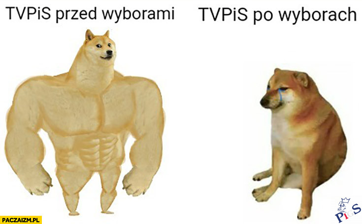 TVPiS traci na sile