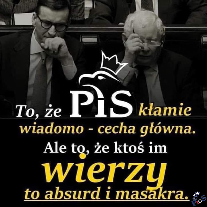 Cecha g(ł)ówna