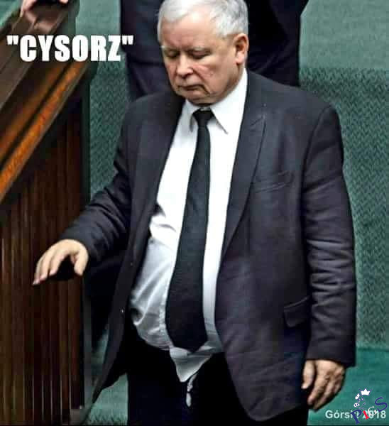 Cysorz