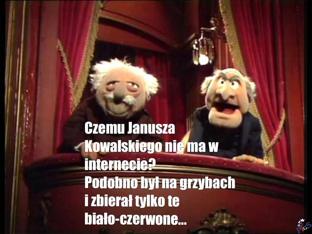 Czemu Janusza Kowlaskiego nie ma w Internecie?