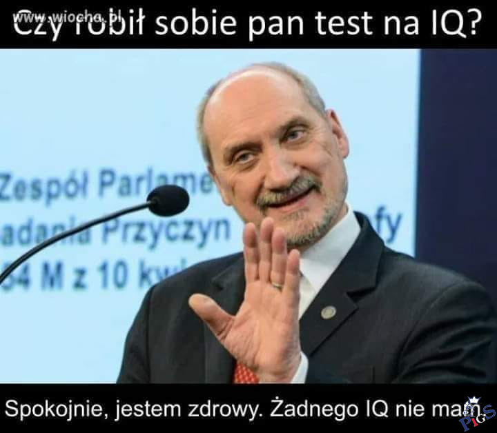 Czy robił pan sobie test na IQ?