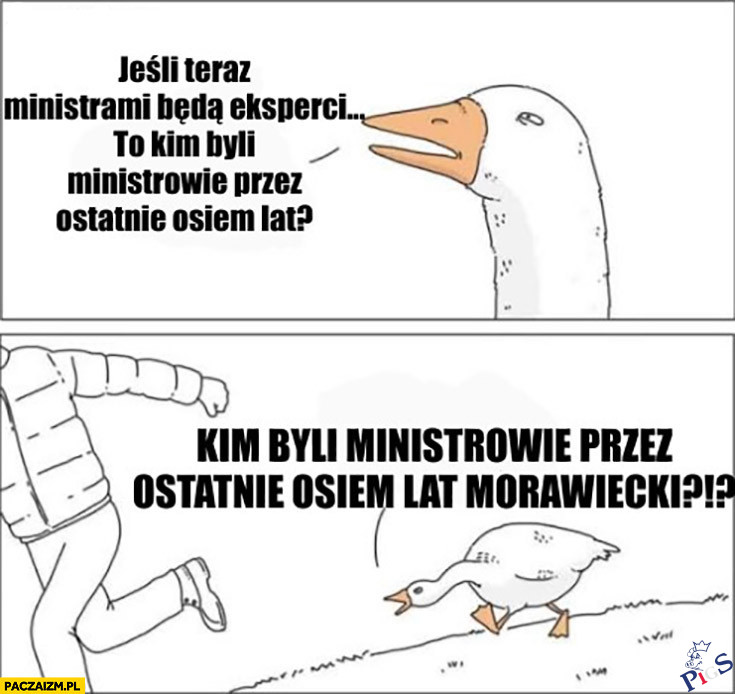 Dzisiejśi ex-perci to wczorajsi perci