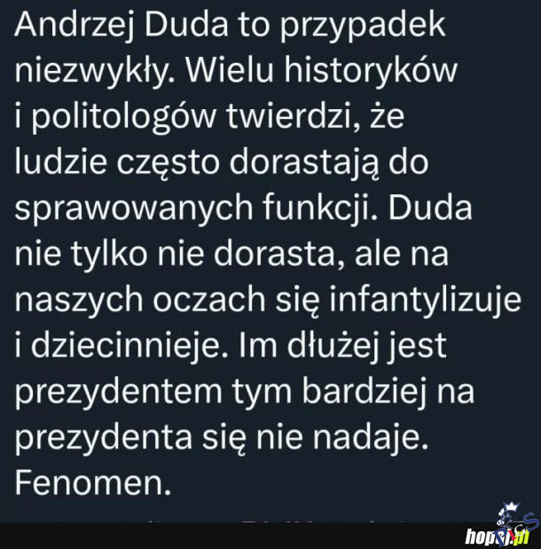 Fenomen