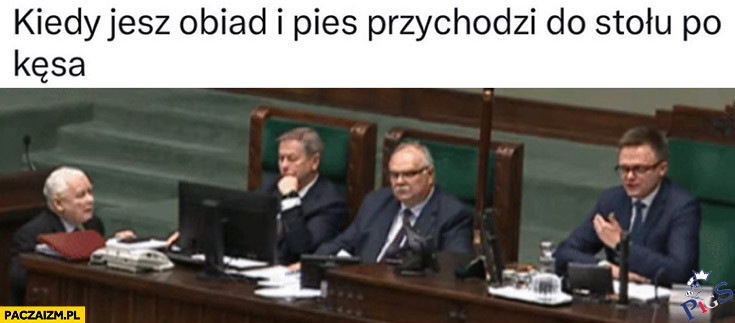 Jak pies do stołu