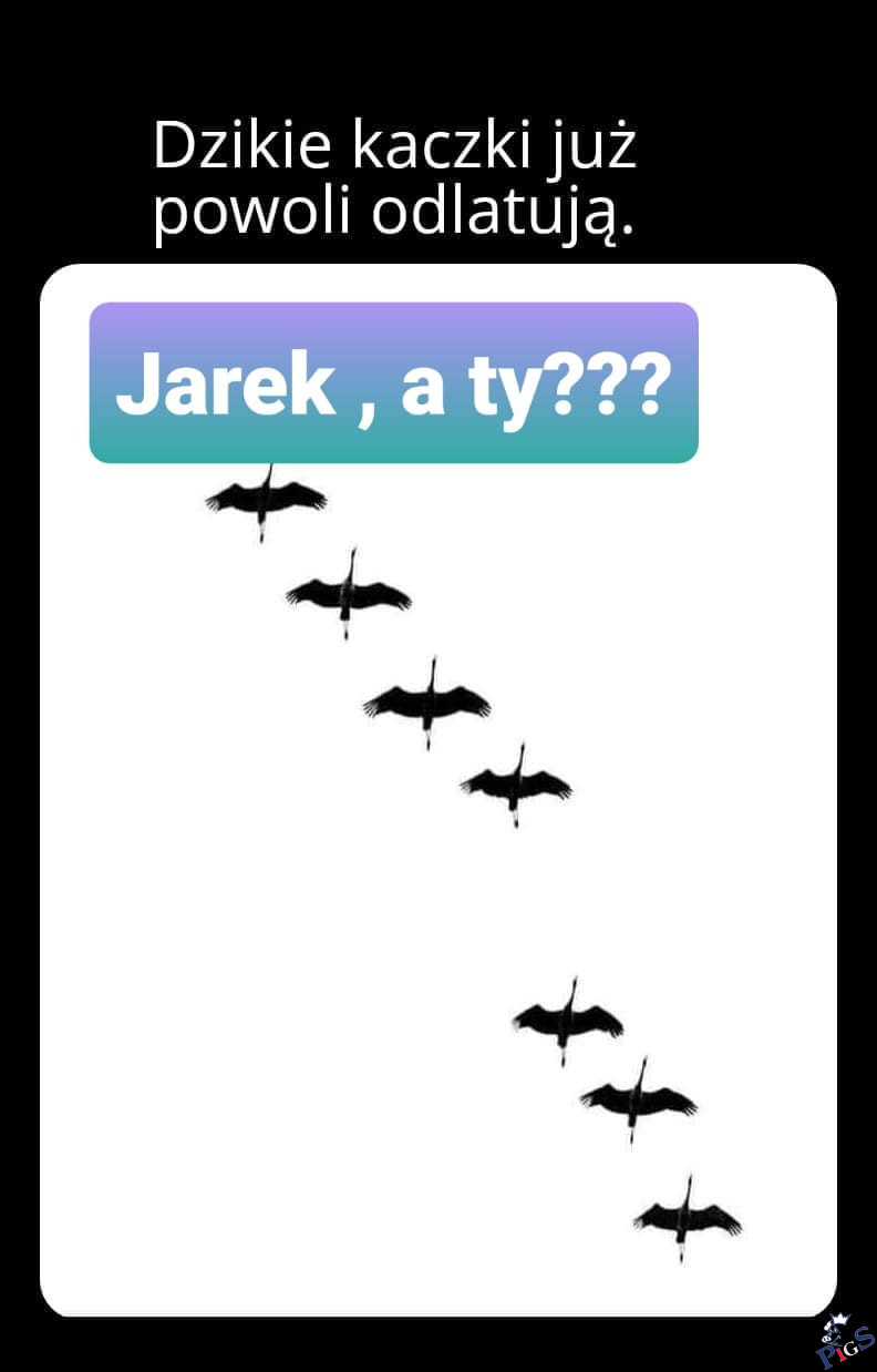 Jarek, a ty?
