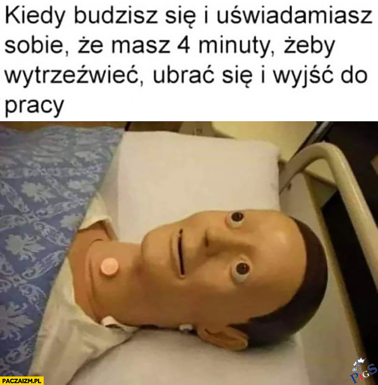 Kiedy uświadamiasz sobie, że masz 4 dni na stworzenie rządu