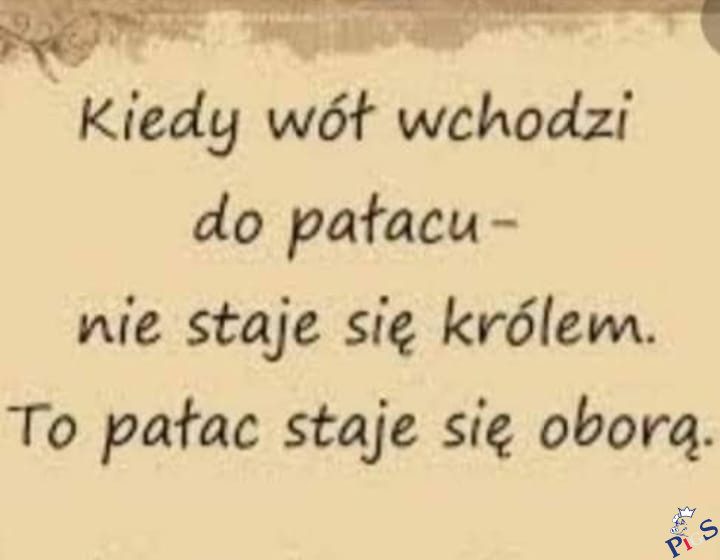 Kiedy wół wchodzi do pałacu