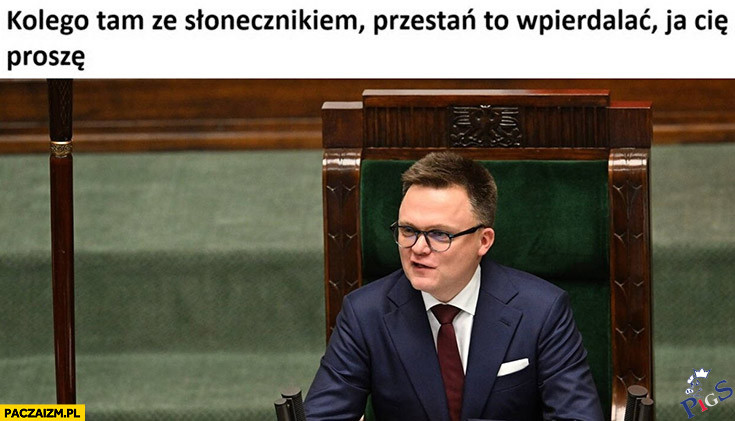 Kolego tam ze słonecznikiem