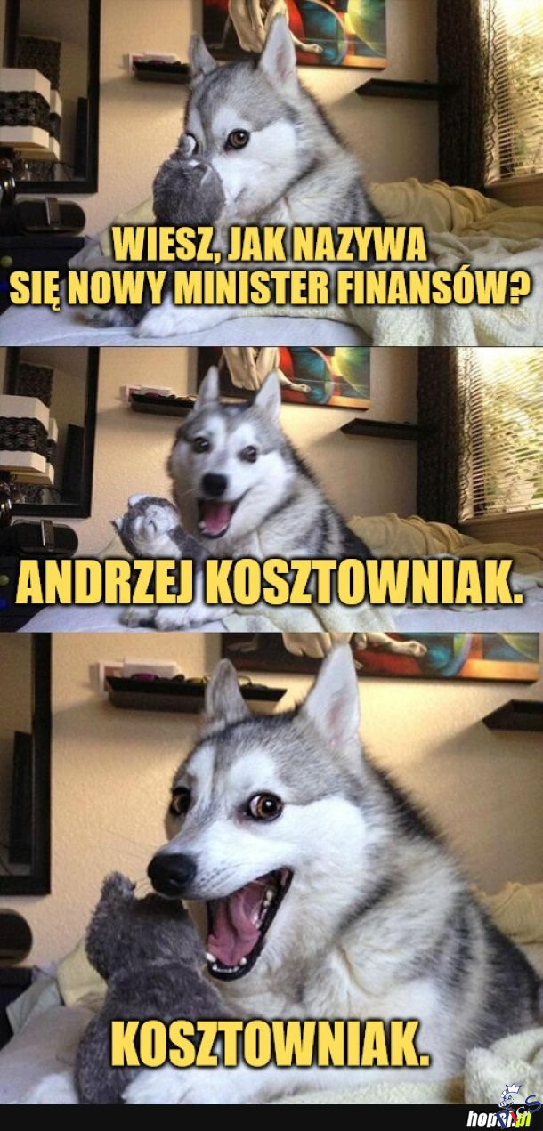 Kosztowniak