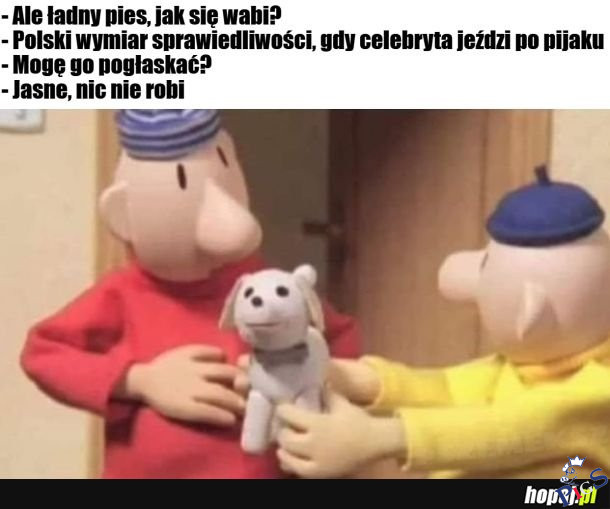 Łapy, łapy, cztery łapy