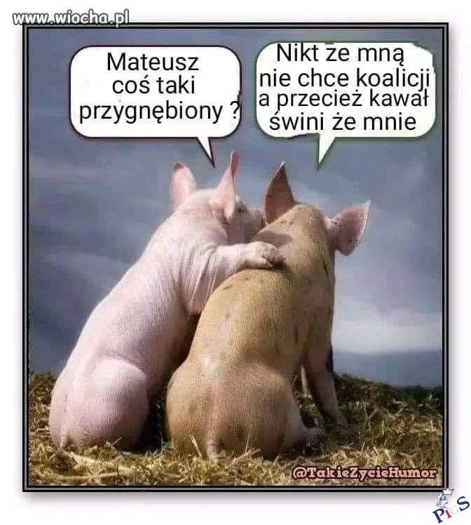 Mateusz coś taki przygnębiony?