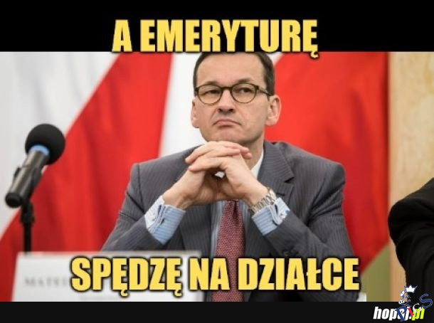 Na której działce?