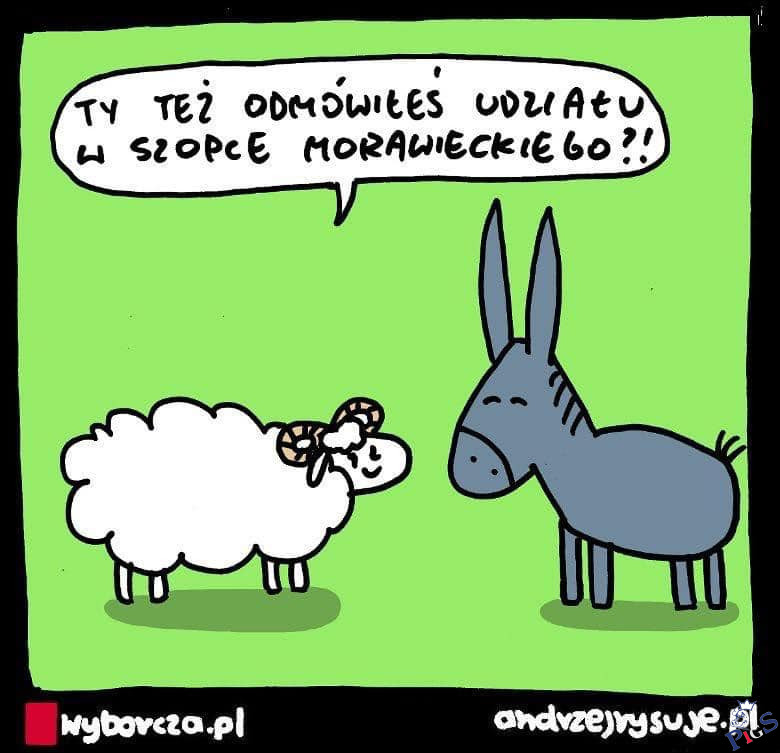 Nadchodzi Boże Narodzenie to musi by i szopka