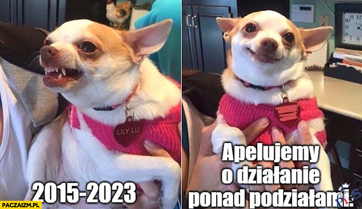 PieSek