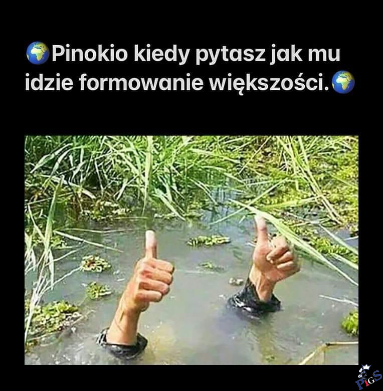Pinokio kiedy pytasz…