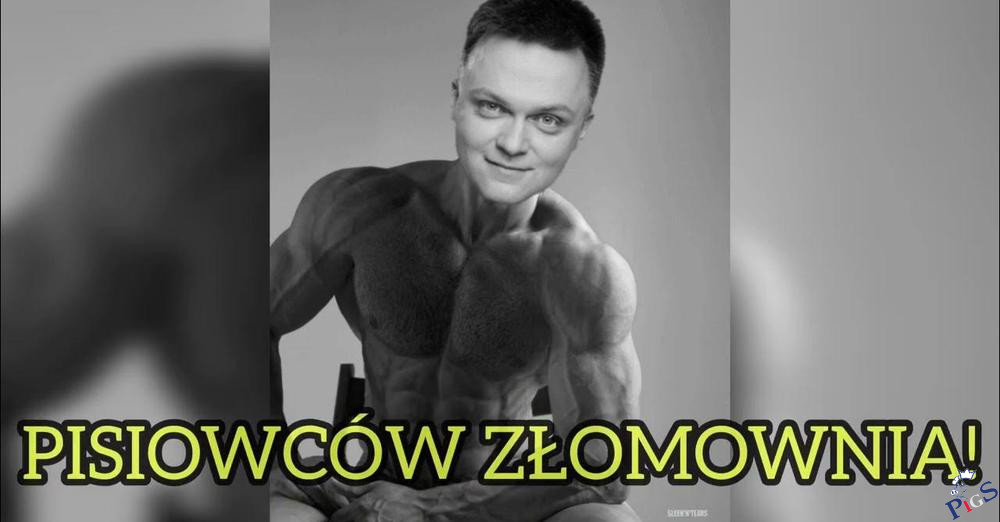 Pisowców złomownia