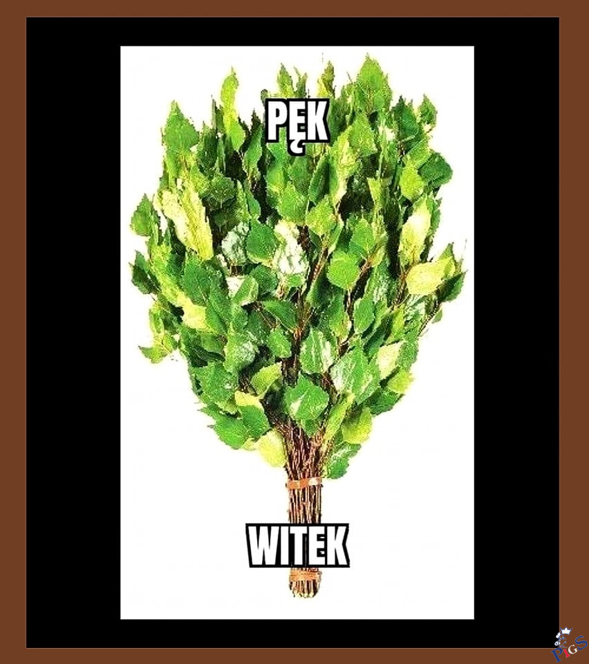 Pęk witek