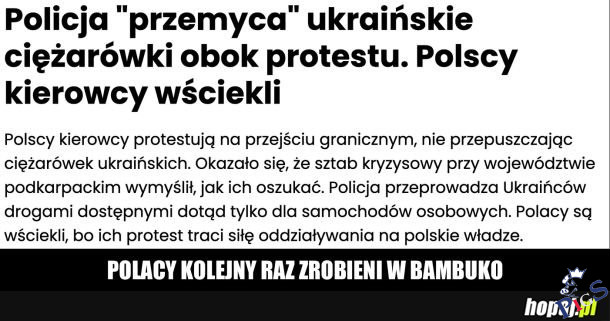 Polacy robieni w bambuko?