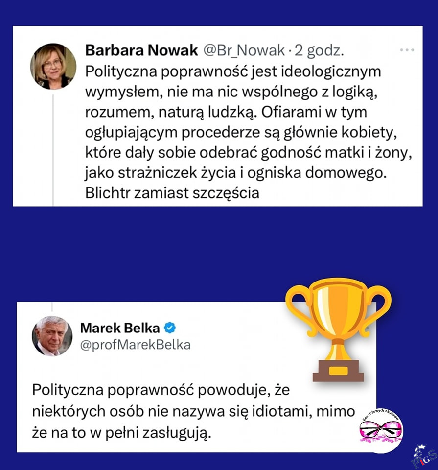 Polityczna poprawność
