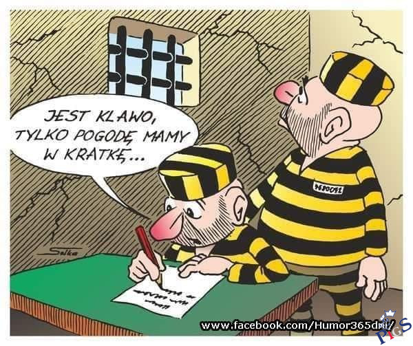 Politykom PiS teź niedługo będzie klawo