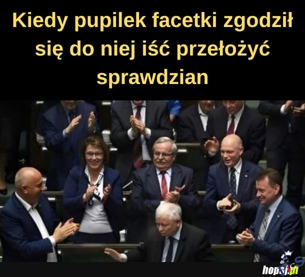 Pupilek facetki