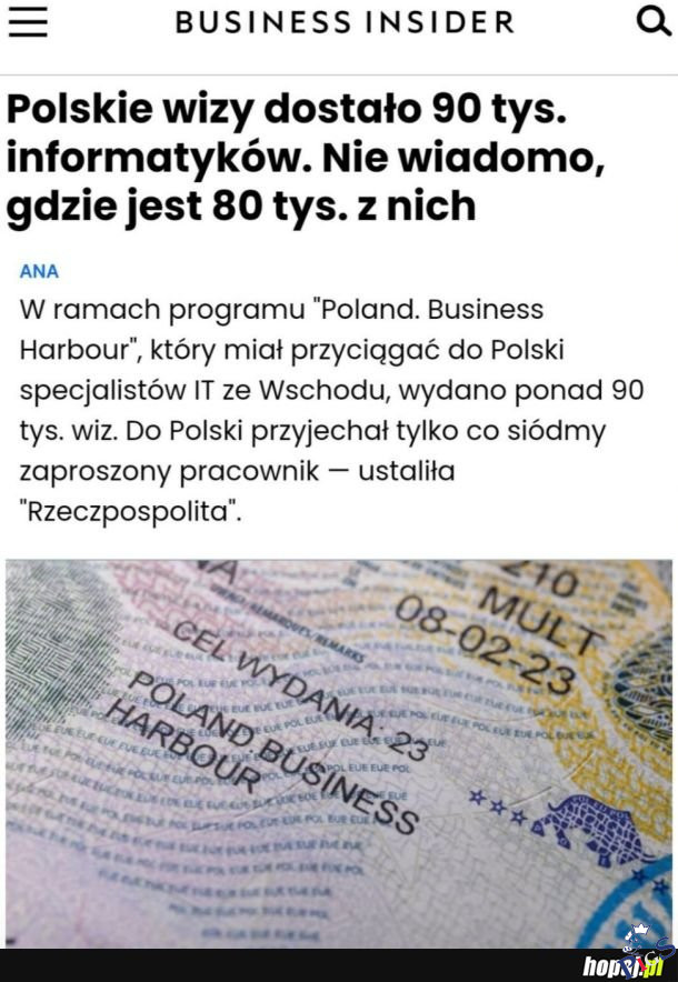 Sami informatycy