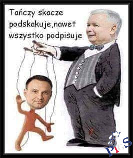 Tańczy, skacze, podskakuje