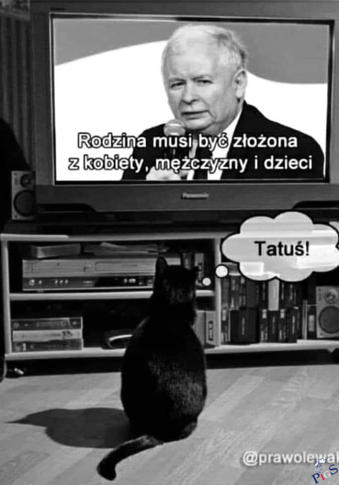 Tatuś!
