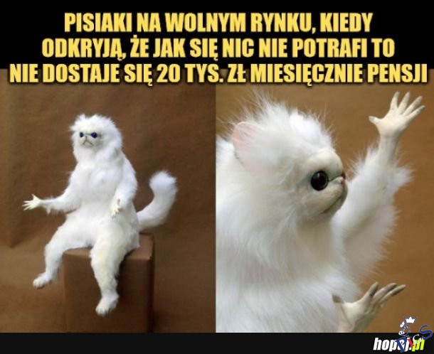 To tak ten rynek wygląda?