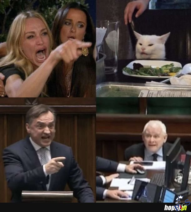 Typowo