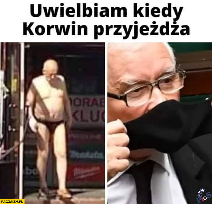 Uwielbiam, kiedy Korwin przyjeżdża