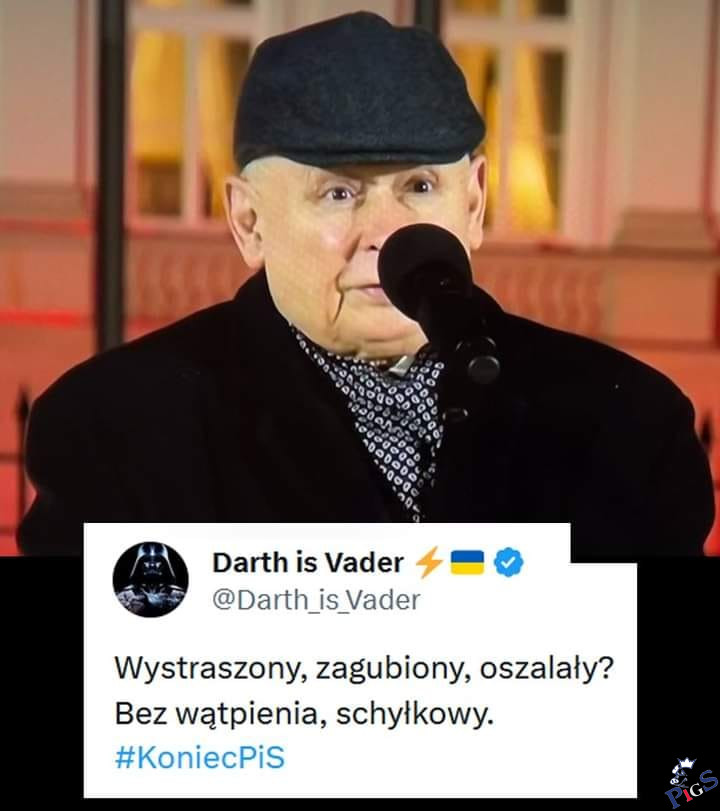 Wystraszony, zagubiony, oszlały