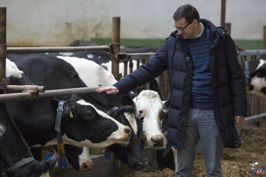 Mateusz Morawiecki kompletujący większość sejmową