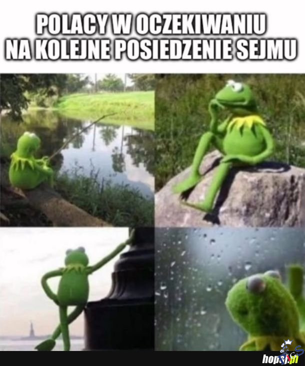 Zaczyna się robić ciekawie