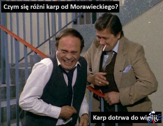 Czym się różni karp od Morawieckiego?