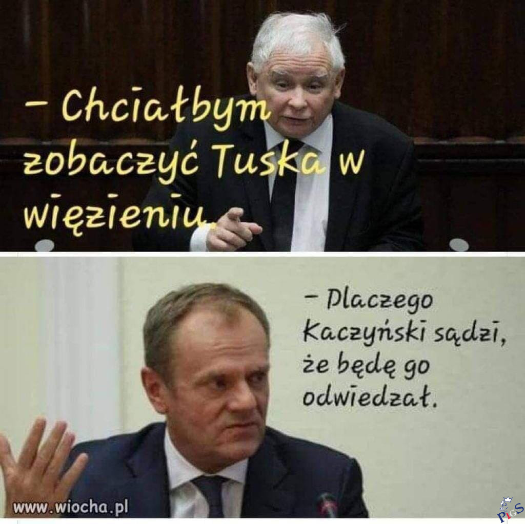 Dlaczego Kaczyński tak sądzi?