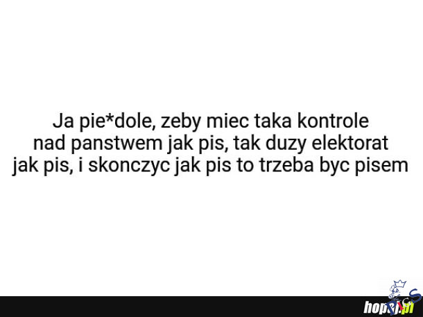 Edyta Górniak polskiej polityki