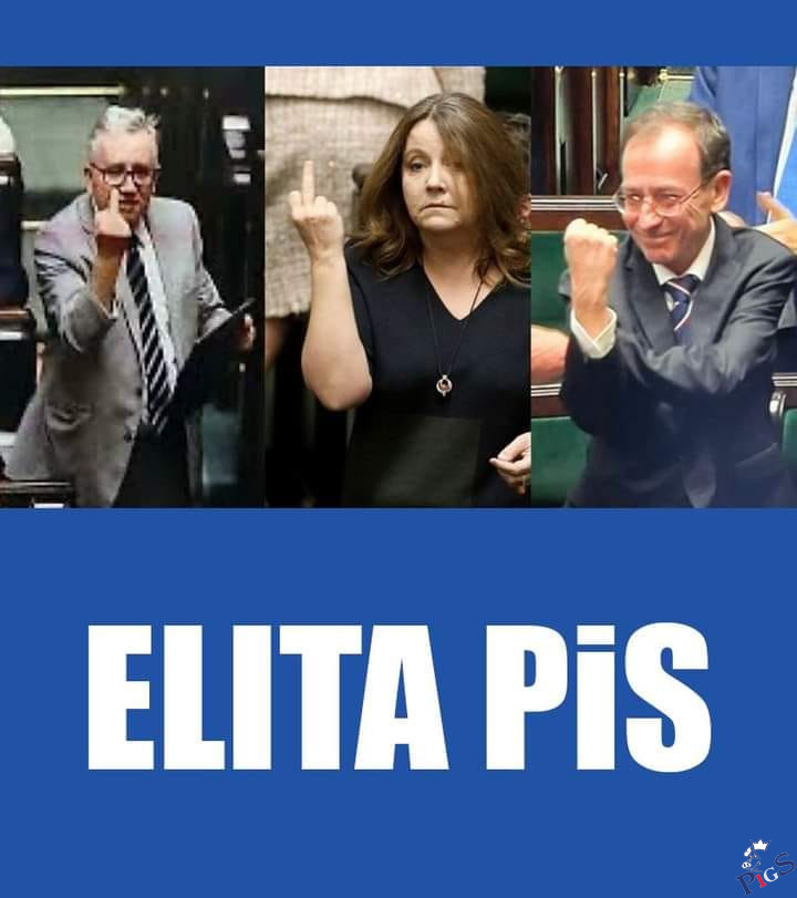 Elita pis