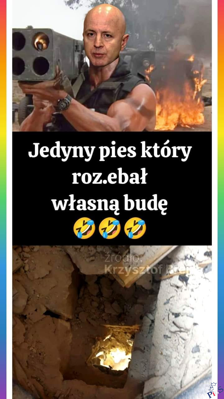 Jedyny pies, który rozjebał własną budę