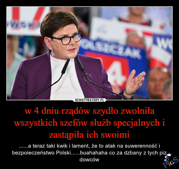 Kolejna kwicząca, zażynana świnia