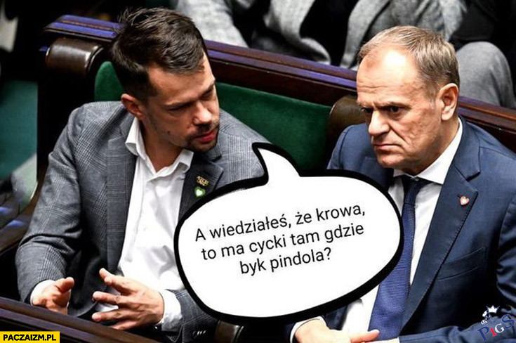 Michał nie pierdol!